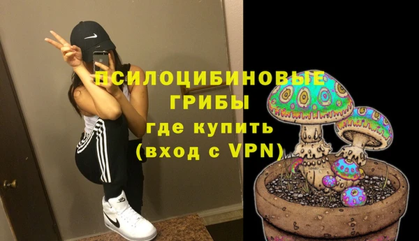 a pvp Саяногорск