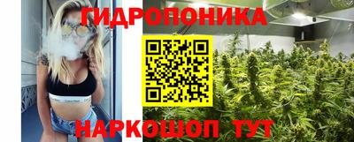 марихуана Кингисепп