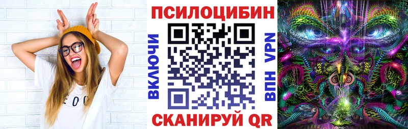 купить   Сунжа  Галлюциногенные грибы мицелий 