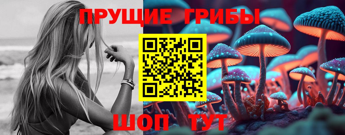 Галлюциногенные грибы Cubensis Сунжа