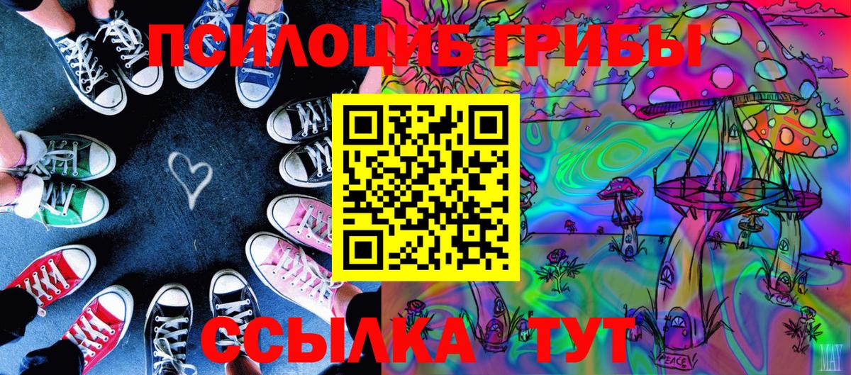 Сунжа  Псилоцибиновые грибы MAGIC MUSHROOMS  Псилоцибиновые грибы GOLDEN TEACHER  Вход с VPN 