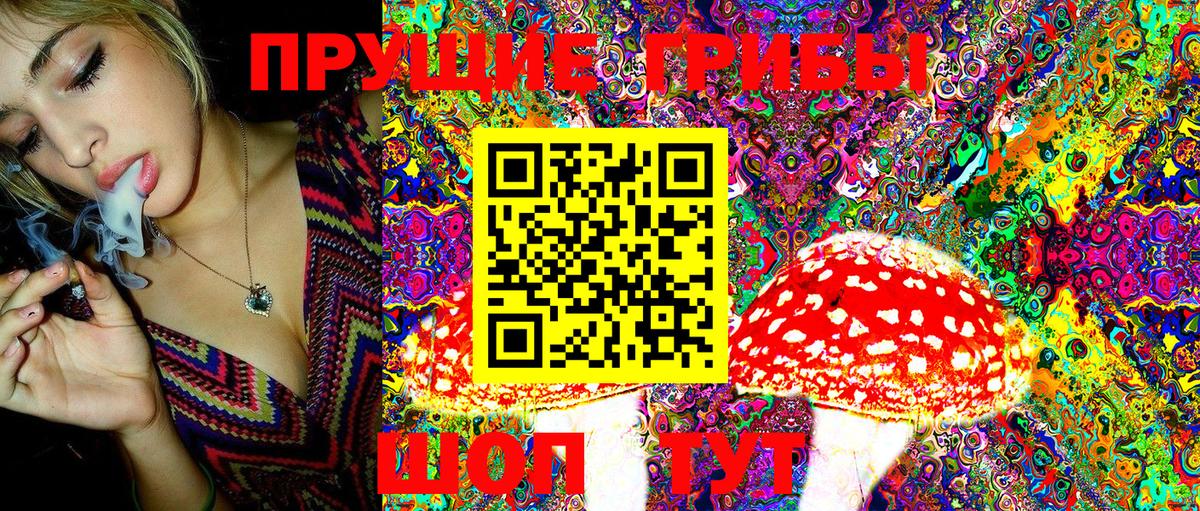 Псилоцибиновые грибы Psilocybe  Сунжа  Псилоцибиновые грибы Magic Shrooms 