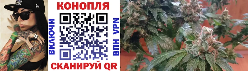 Конопля ГИДРОПОН  Сунжа 